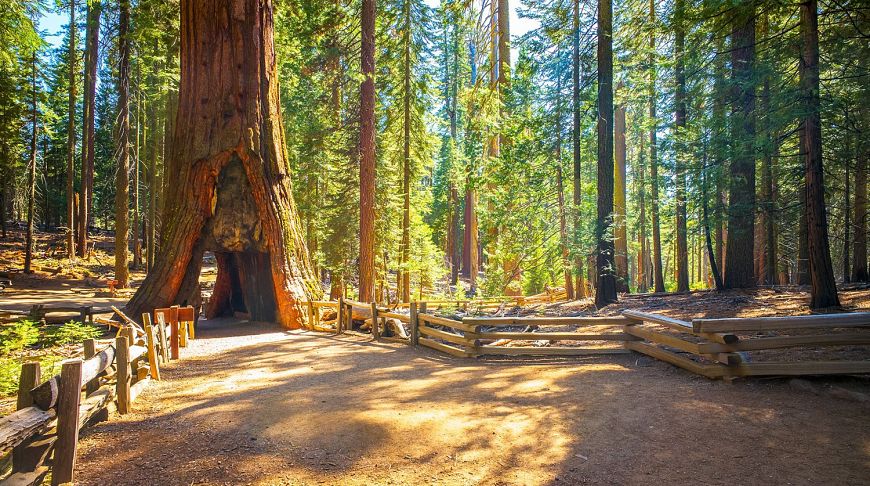 TOP-10 of the most beautiful places in California