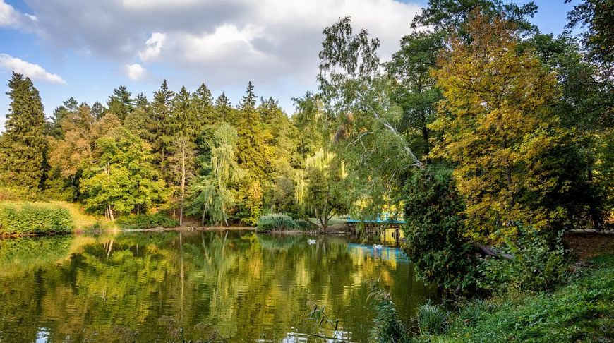 The most beautiful dendroparks of Ukraine, which are worth visiting until the end of autumn