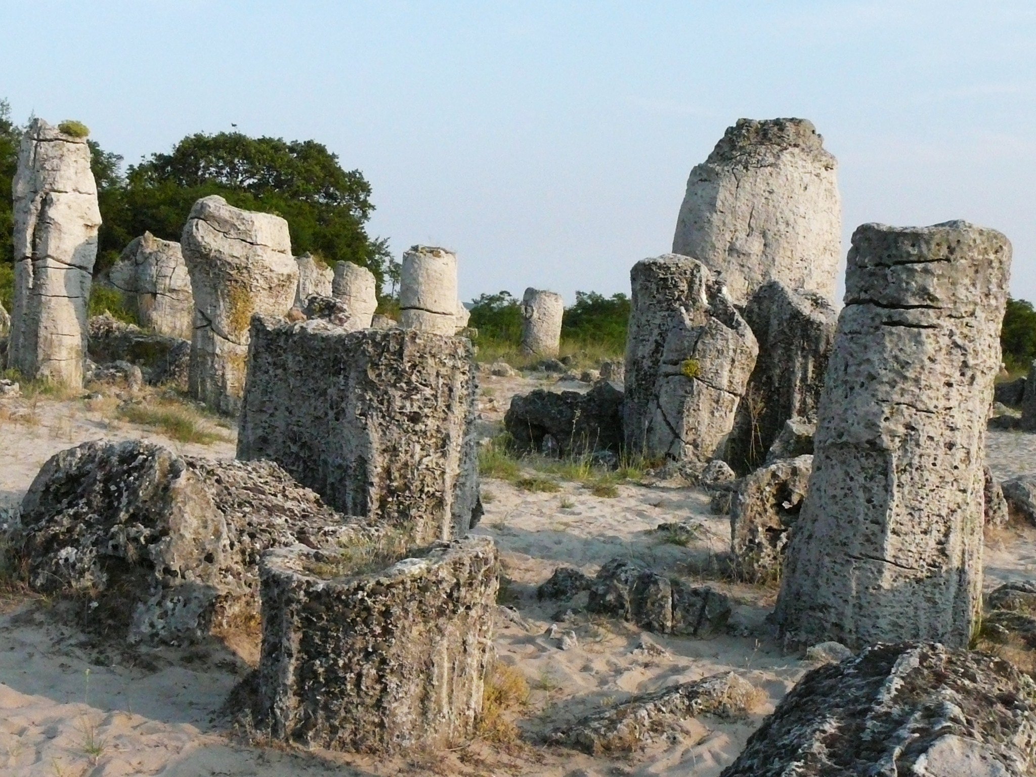 The stone forest