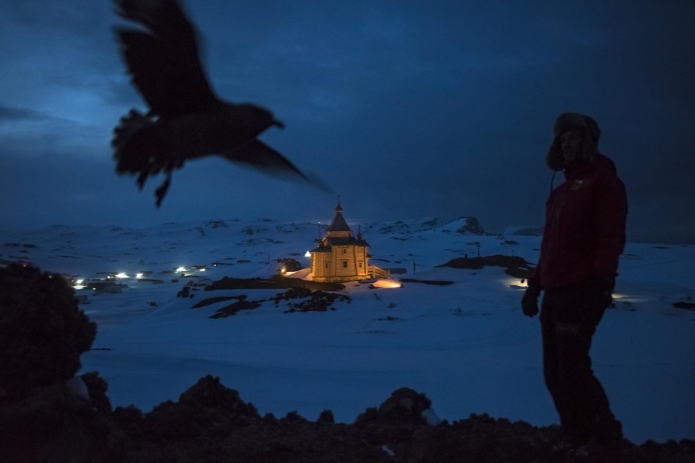 Победители конкурса World Press Photo Contest 2016