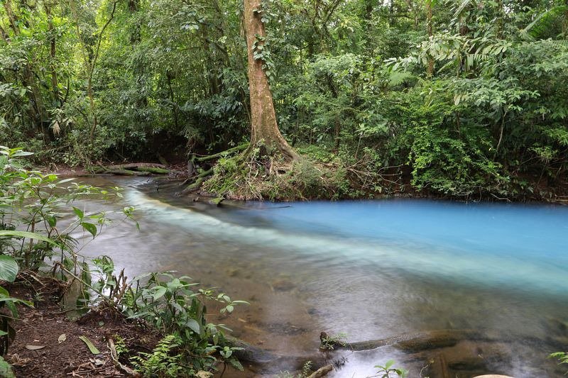 The Blue River of Rio Celeste