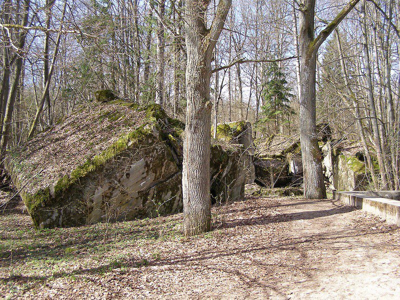 Wolfsschanze - wolf's lair in the forests of Poland