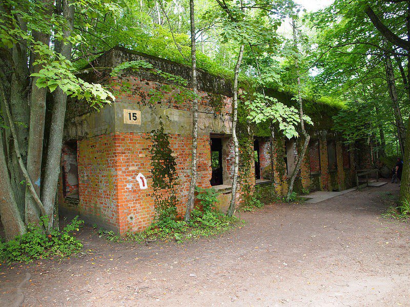 Wolfsschanze - the wolf's lair in the forests of Poland