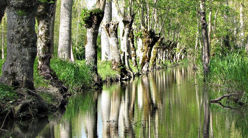 20 маловідомих місць Франції, які варто побачити хоча б раз в житті