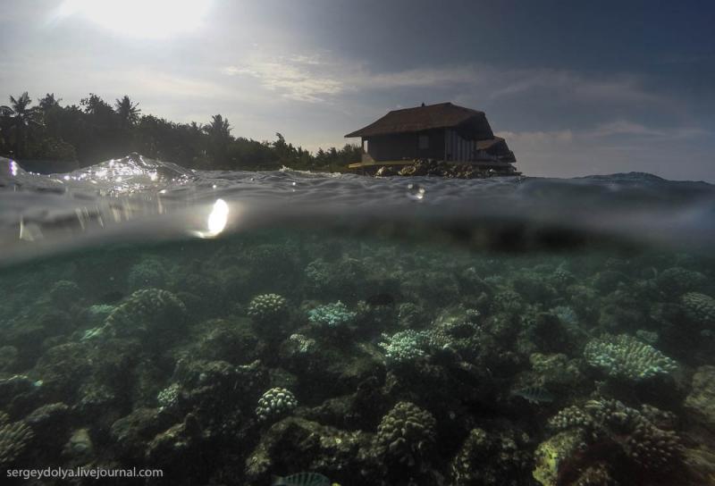 Підводний світ Мальдів