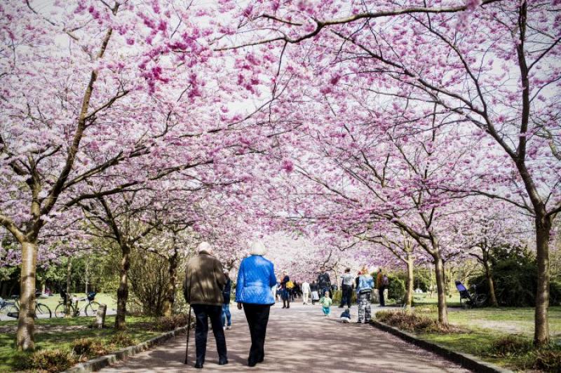 The happiest places on the planet of 2016