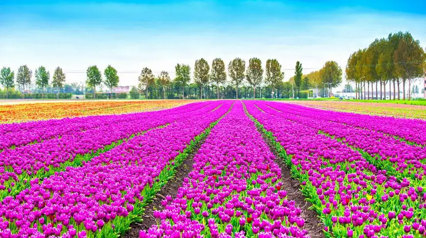 30 самых красивых мест на планете, которые нужно увидеть