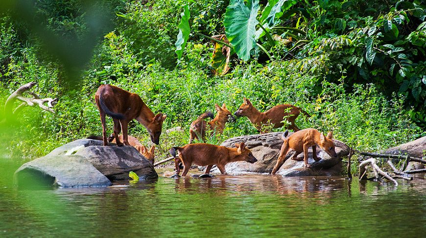 Слияние с природой: 10 самых удивительных парков Тайланда