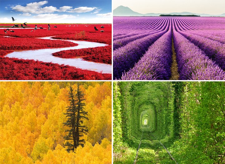 The natural beauty of the Earth in photos