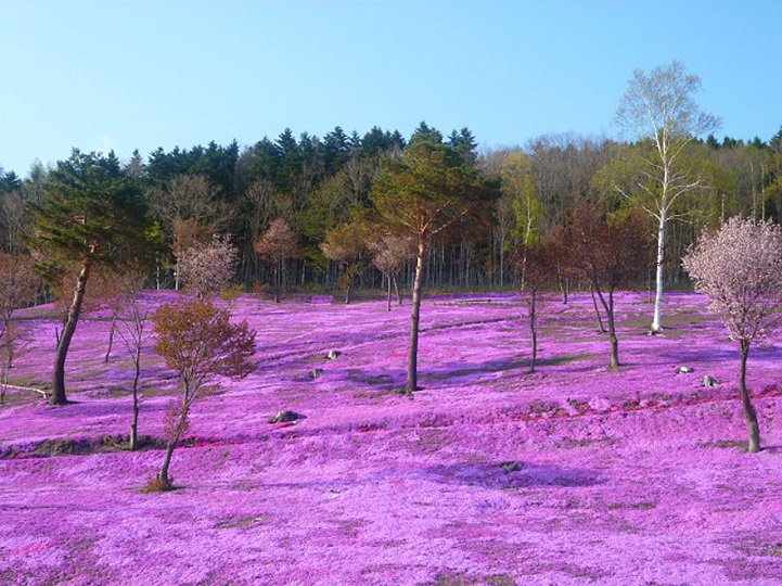 The natural beauty of the Earth in photos