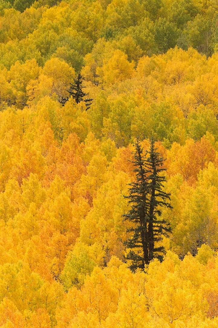 The natural beauty of the Earth in photos