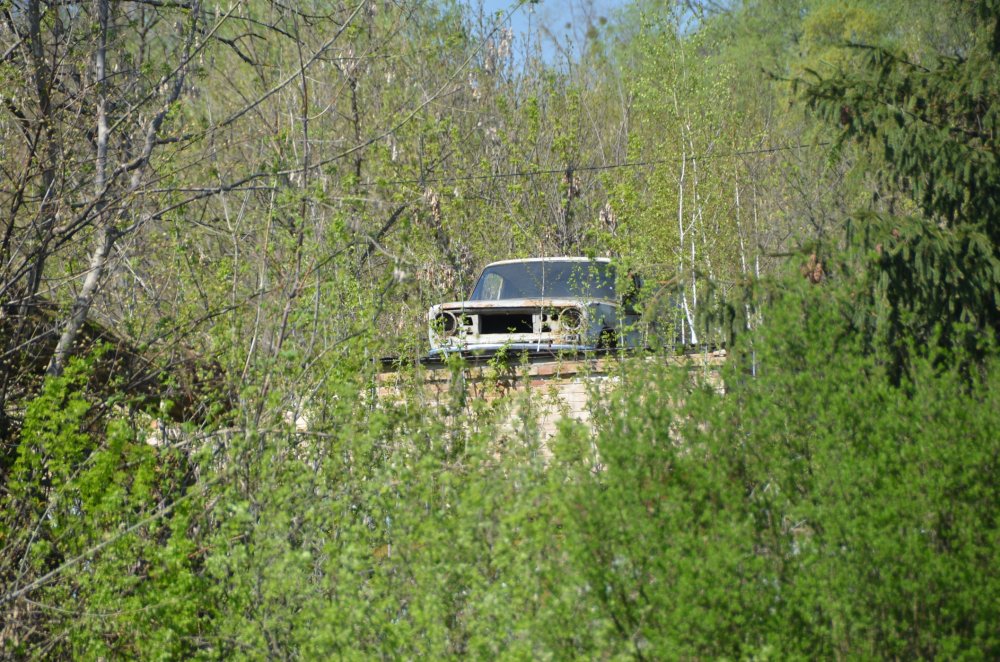 Chernobyl 30 years later: pictures of cities frozen in time