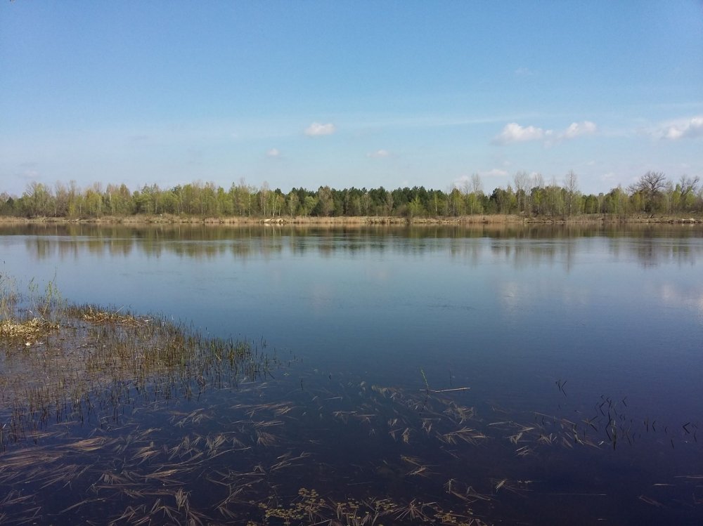 Чернобыль 30 лет спустя: снимки городов, застывших во времени