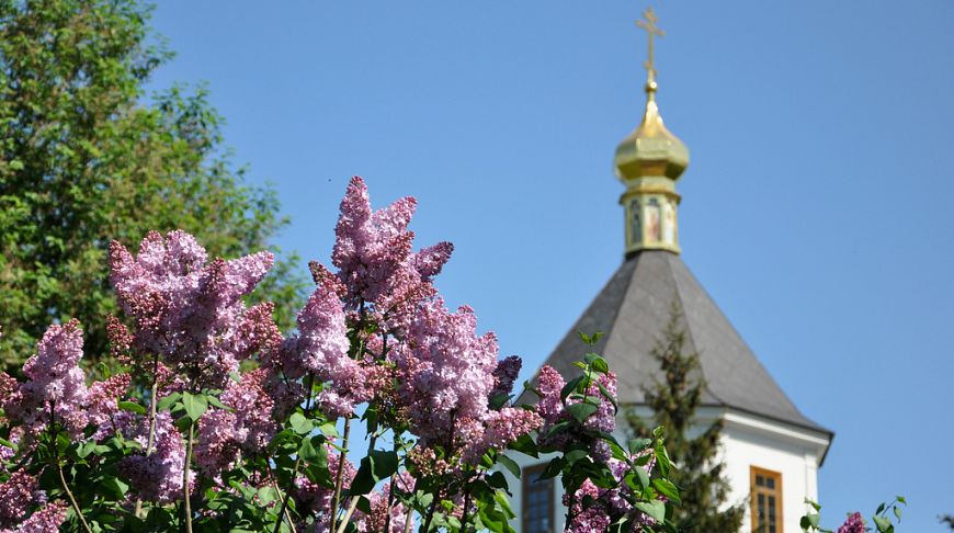 A sea of ​​flowers! The most lush gardens of Kiev