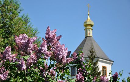 Море квітів! Найпишніші садки Києва