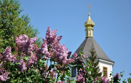 Море квітів! Найпишніші садки Києва