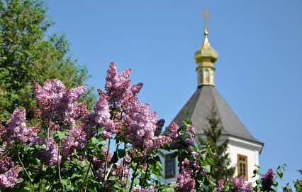 A sea of ​​flowers! The most lush gardens of Kiev