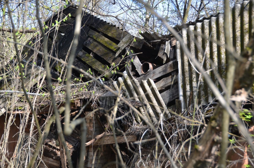 Chernobyl 30 years later: pictures of cities frozen in time