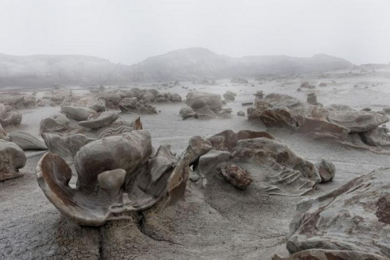 The extraterrestrial landscapes of Busty Wasteland