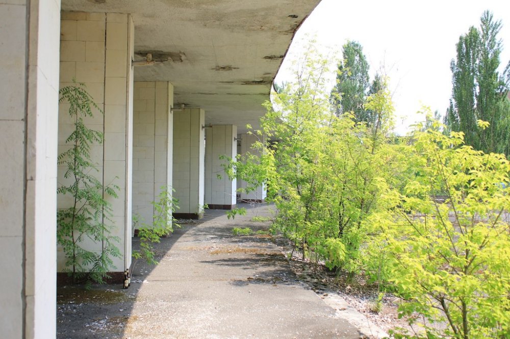 Chernobyl 30 years later: pictures of cities frozen in time