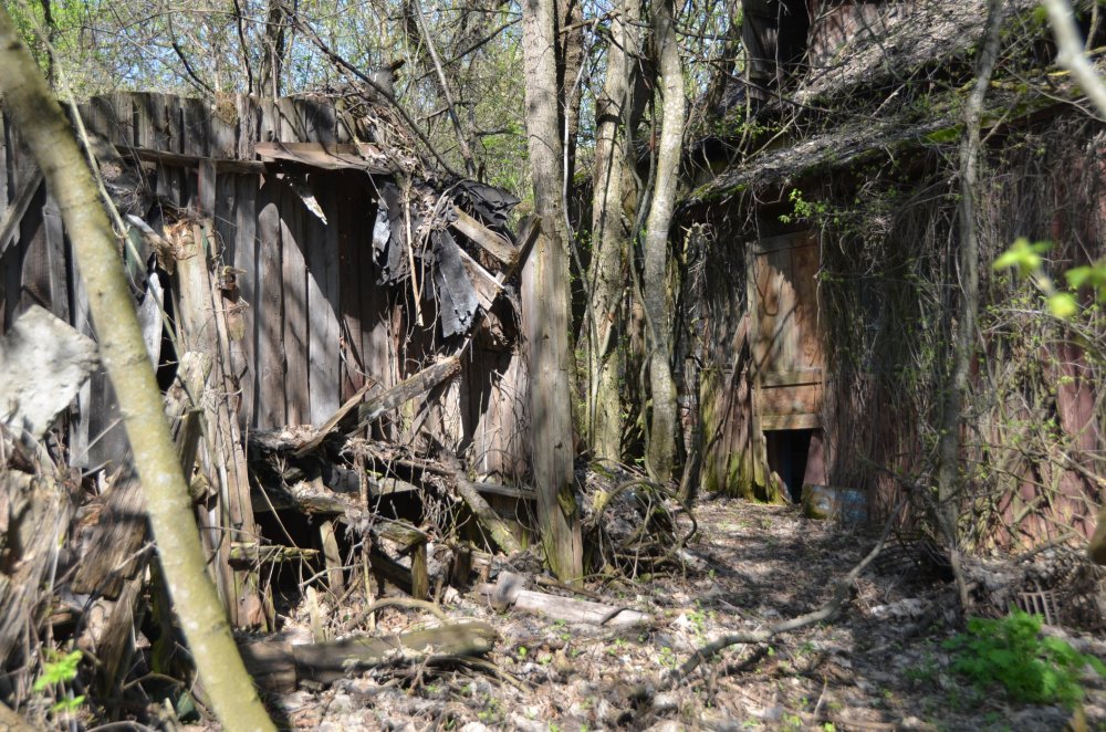 Чернобыль 30 лет спустя: снимки городов, застывших во времени