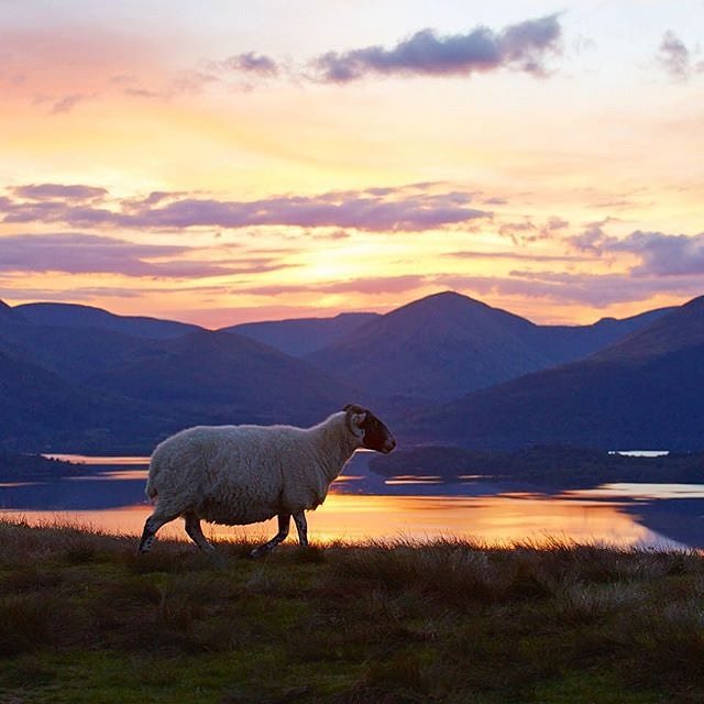 The immense Scotland: amazing pictures from Instagram