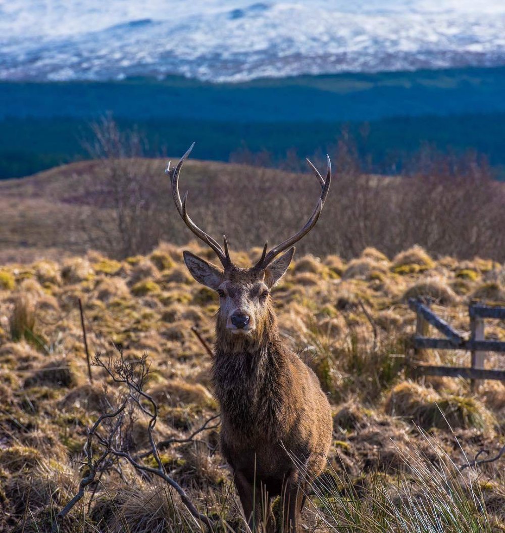 The immense Scotland: amazing pictures from Instagram