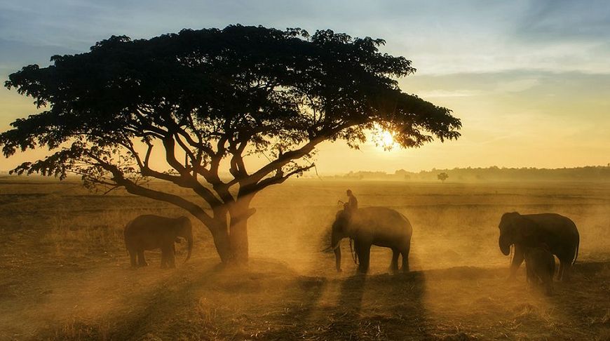 Совершенство природы: 10 невероятных фотографий апреля от National Geographic