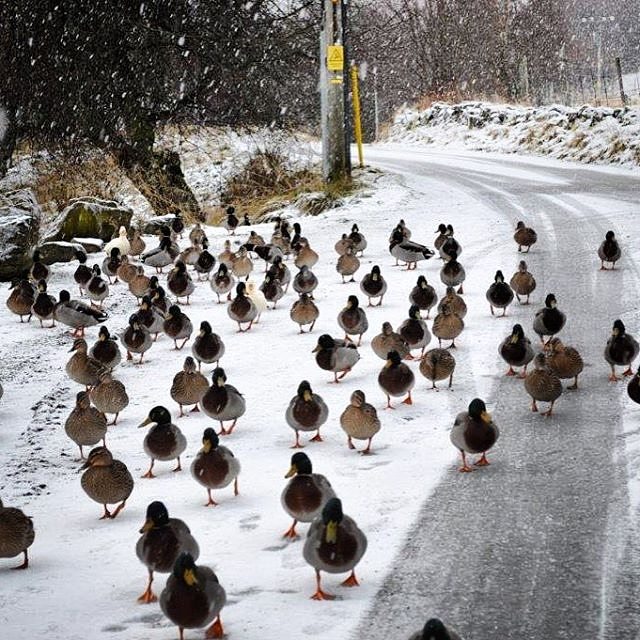 The immense Scotland: Amazing pictures from Instagram