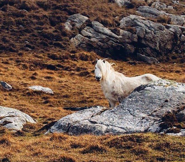 The immense Scotland: Amazing pictures from Instagram