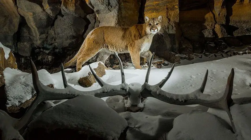 Совершенство природы: 10 невероятных фотографий апреля от National Geographic