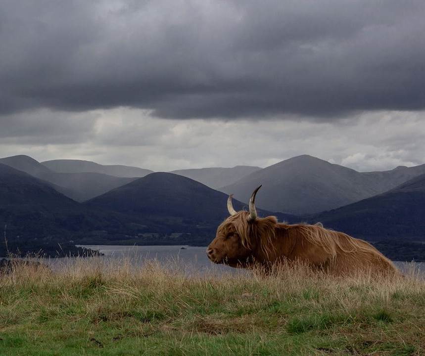 The immense Scotland: amazing pictures from Instagram