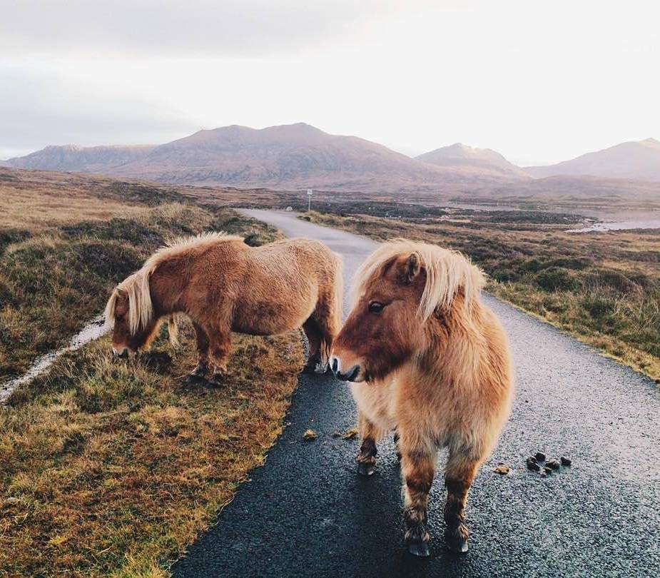 The immense Scotland: Amazing pictures from Instagram