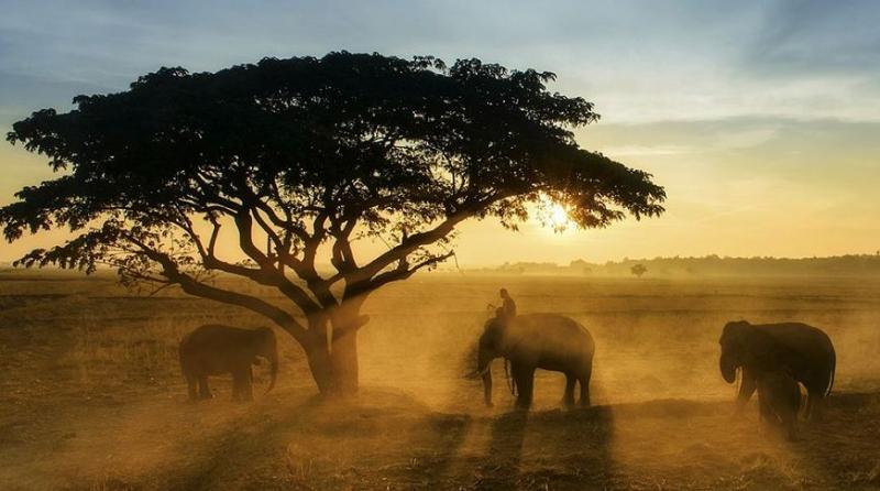 Совершенство природы: 10 невероятных фотографий апреля от National Geographic