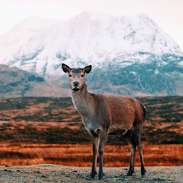 The immense Scotland: Amazing pictures from Instagram