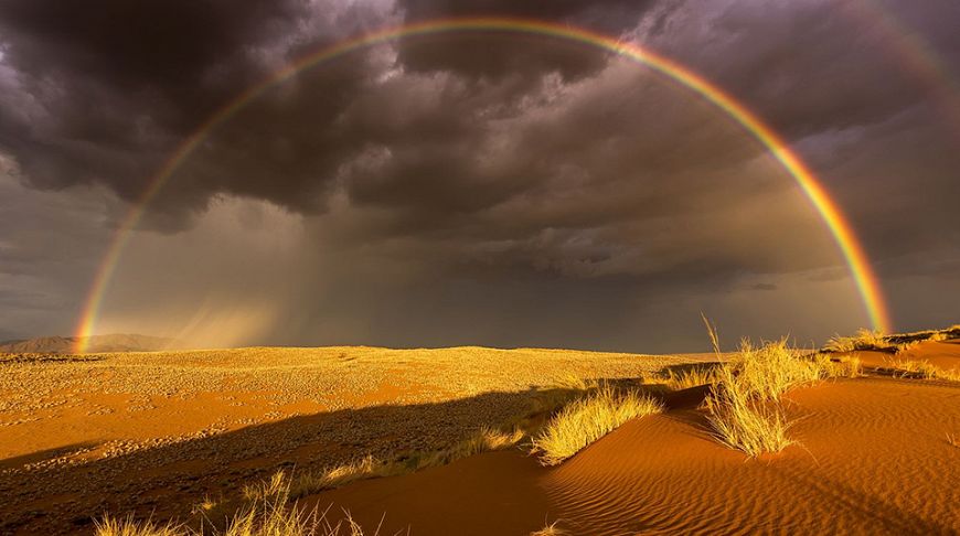 Застиглі секунди планети: 15 кращих конкурсних фотографій від National Geographic