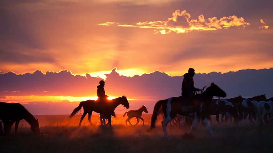 Застывшие секунды планеты: 15 лучших конкурсных фотографий от National Geographic