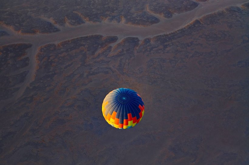 25 fascinating Namibia wildlife images, which speeds up the pulse