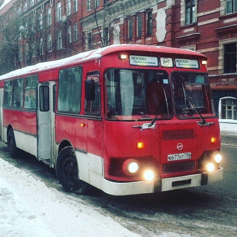 25 фотографій автобусів прямо з нашого дитинства