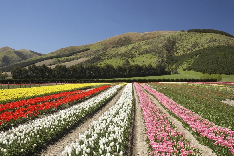 16 corners of the Earth, where the spring is especially beautiful