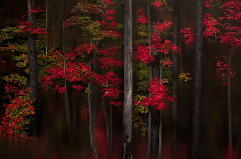 25 amazing photos that the world around is constantly changing color