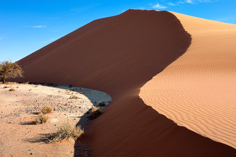 25 fascinating images of the wild nature of Namibia, from which the pulse