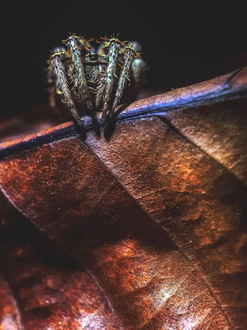 21 незабываемое фото с конкурса Mobile Photography Awards 2016 года