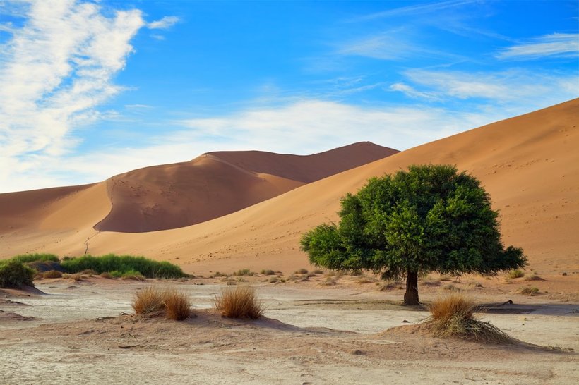 25 the images of wild nature of Namibia, from which the pulse accelerates,