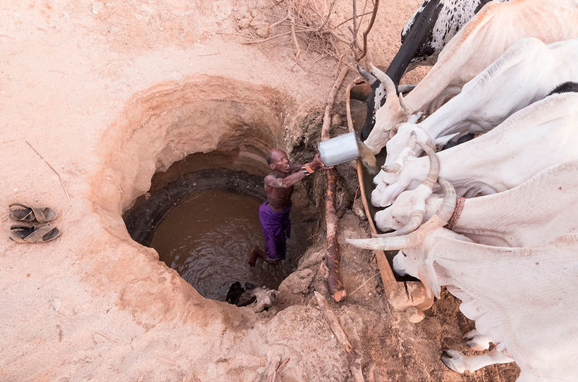 29 photos of Kenya, proving that Africa needs to be seen with our own eyes