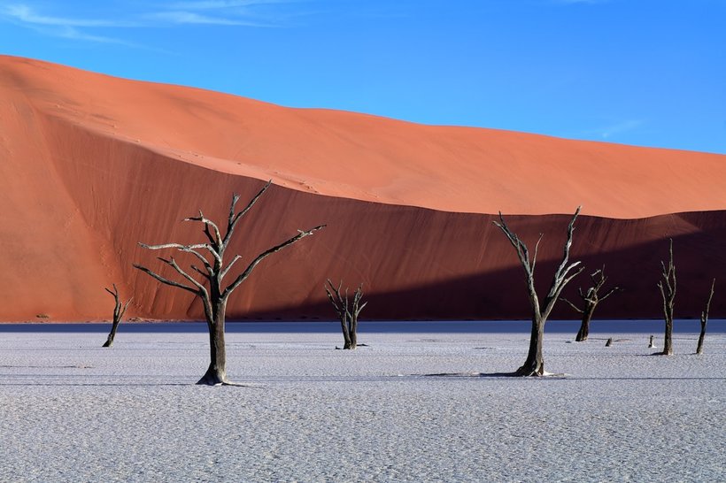 25 fascinating snapshots of the wilderness of Namibia, from which the pulse accelerates