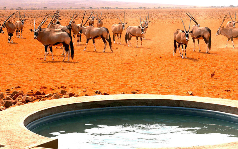 9 мест на планете, чтобы наслаждаться невероятной природой, не вылезая из ванны