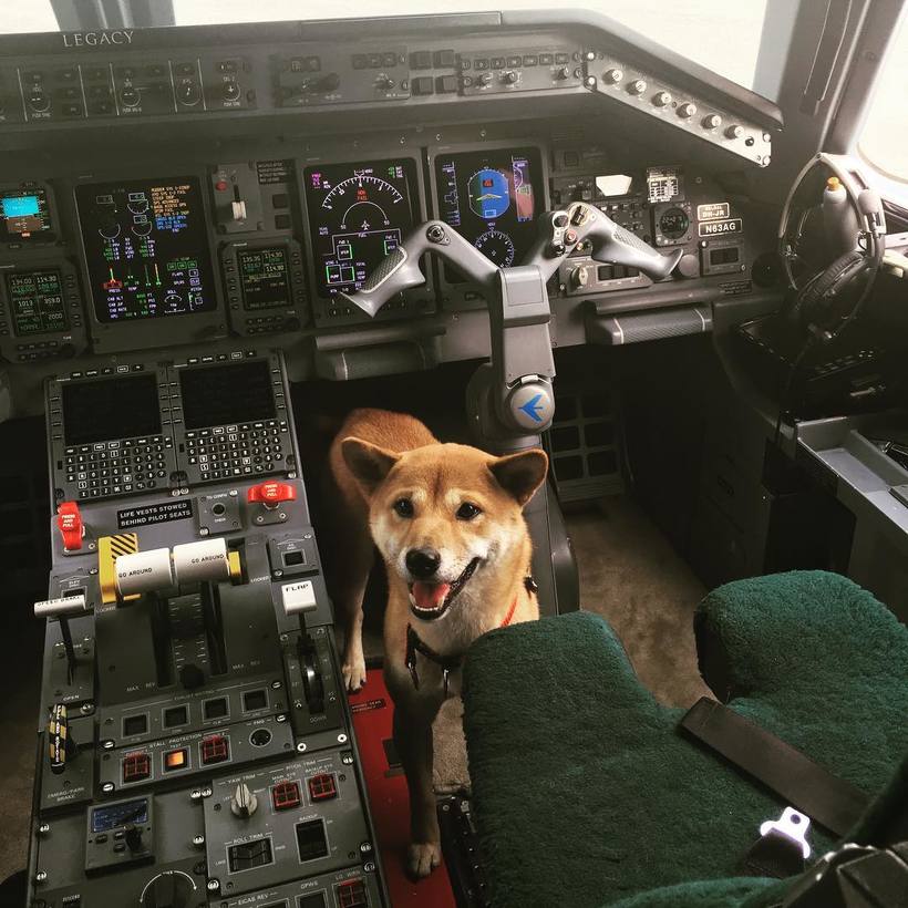 Girl -The pilot travels the world and shares photos of celebrities in his Instagram 
