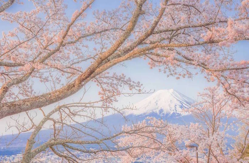 13 волшебных снимков Японии, сделанных гениальным Такаши Комацубара