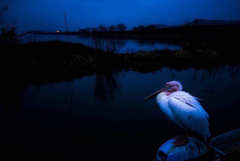 13 magic shots of Japan made by genius Takashi Komatsubara 